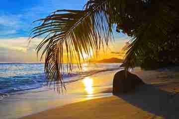 Valencia Poll: What is Your Worst Spring Break Experience?